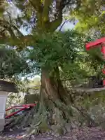 真巌寺(三重県)