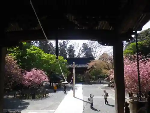 妙本寺のその他建物