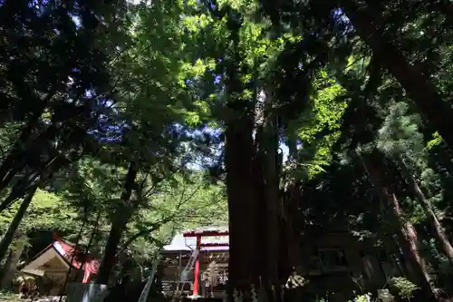 磐椅神社の景色