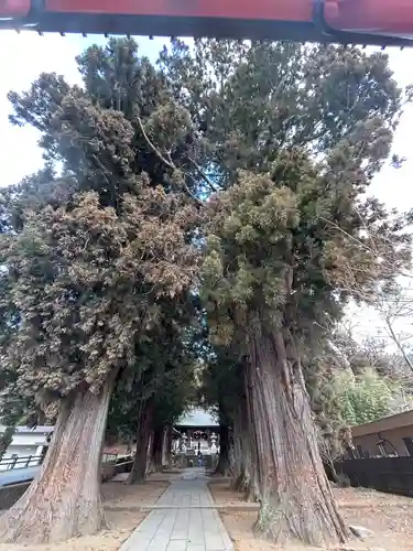 河口浅間神社(山梨県)