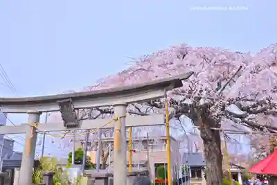 栗谷須賀神社(神奈川県)