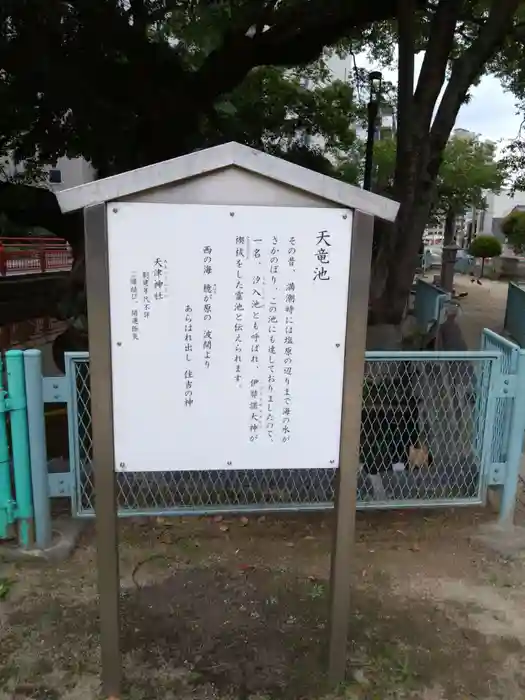 天津神社の建物その他