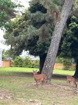 興福寺(奈良県)