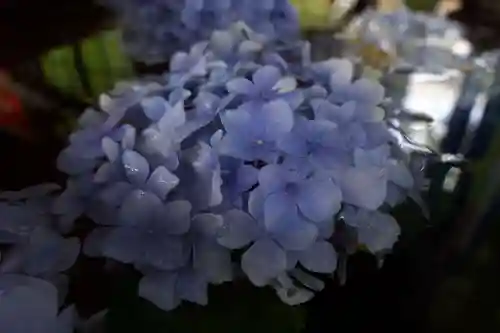 若宮神明社の手水舎