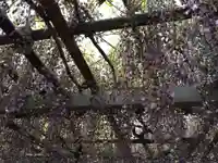 太巌寺(ふじの寺)(三重県)