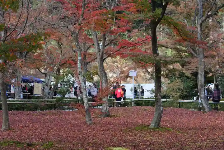 鹿苑寺(金閣寺)(京都府)