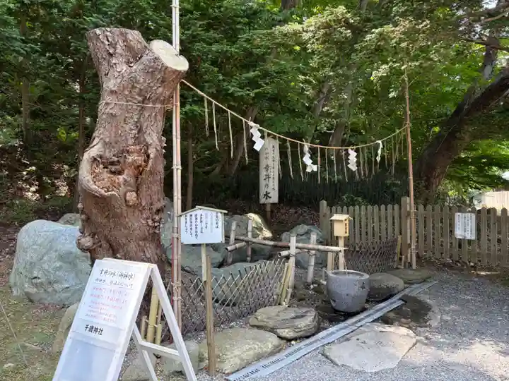 千歳神社(北海道)