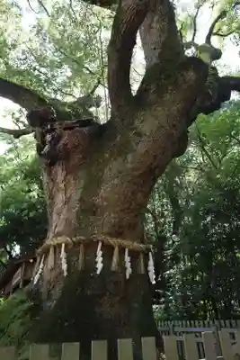 熱田神宮(愛知県)