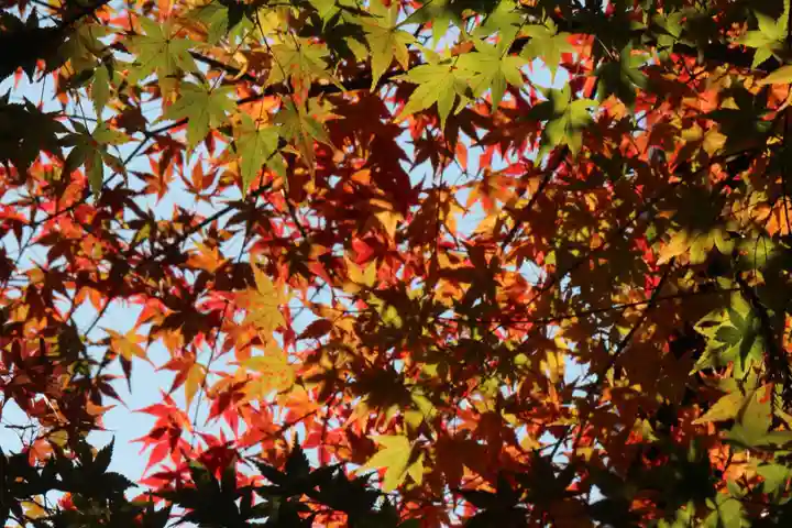 国宝 大法寺(長野県)