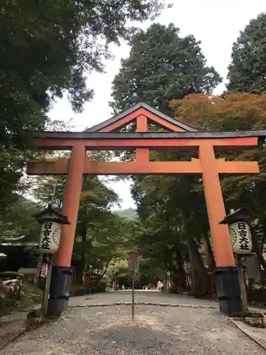 日吉大社の鳥居