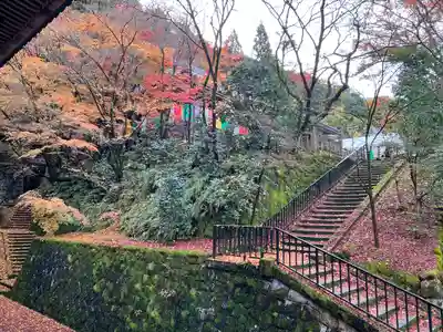 禅林寺(永観堂)(京都府)