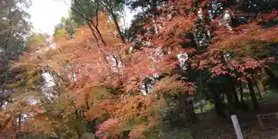 賀茂御祖神社（下鴨神社）(京都府)