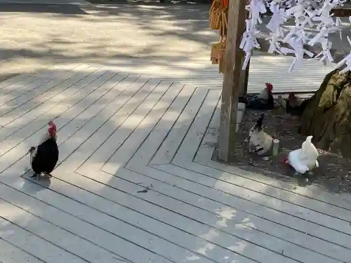 大崎八幡宮(宮城県)