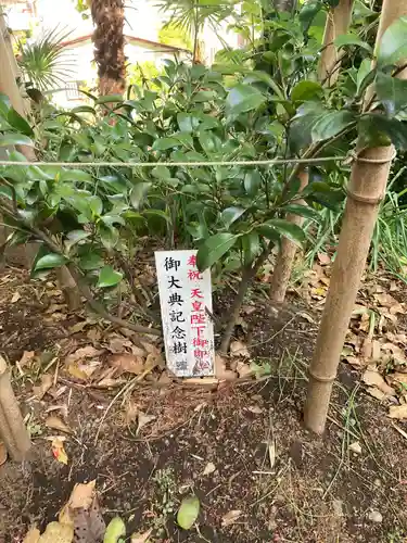 粟津神社の自然