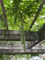 田縣神社(愛知県)