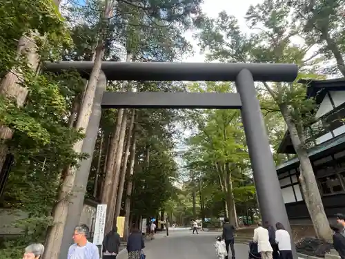 北海道神宮の鳥居