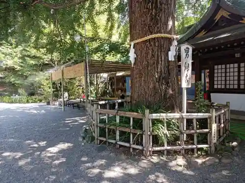 大宮八幡宮(東京都)