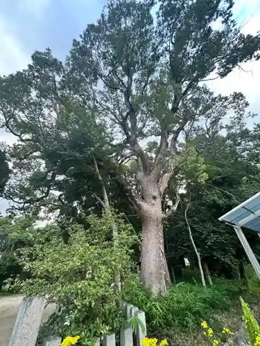 杵築神社(奈良県)