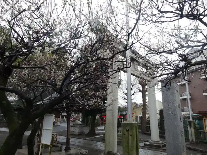 町田天満宮の庭園