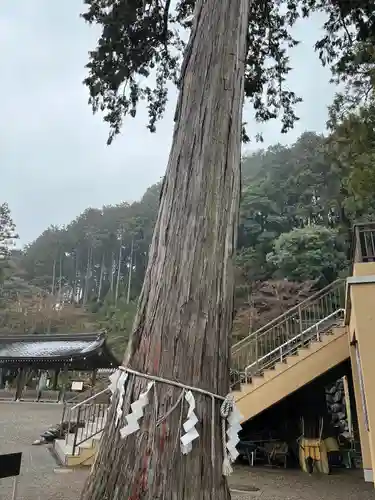 高麗神社(埼玉県)