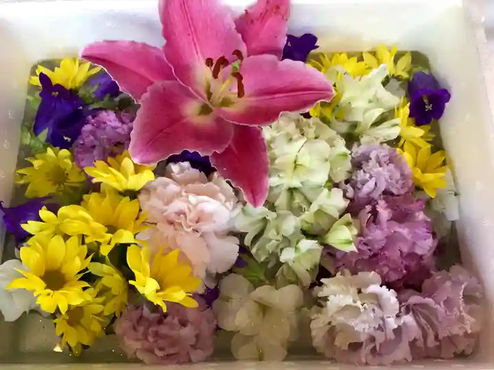 下総国三山 二宮神社(千葉県)