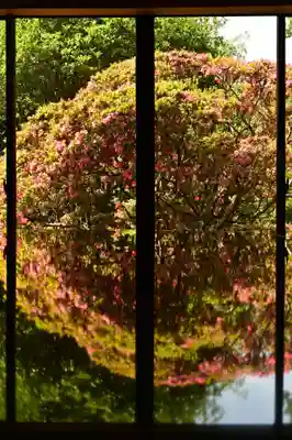 東福寺(徳島県)