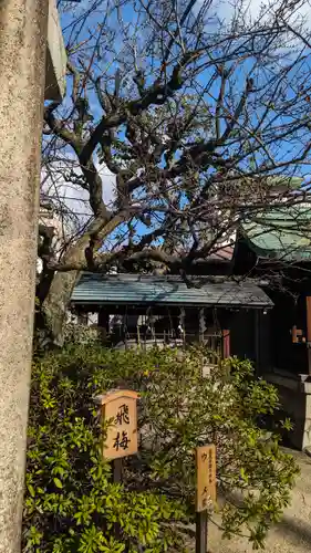 菅大臣神社(京都府)
