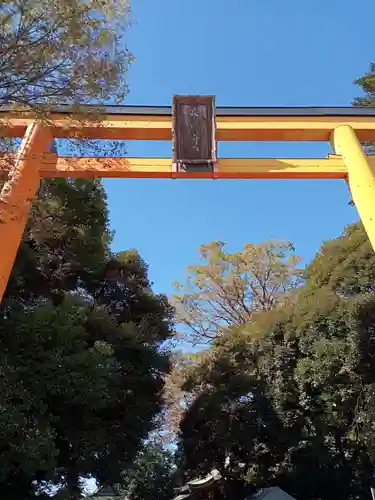 川越氷川神社(埼玉県)