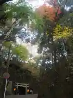 銭洗弁財天宇賀福神社の周辺