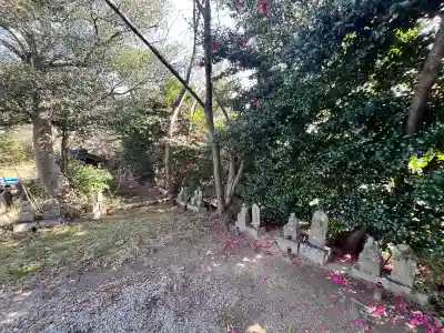 海岸寺の{uncategorized: "未分類", other: "その他", undefined: "問題あり", building: "その他建物", grave: "お墓", sacred_gate: "鳥居", guardian: "狛犬", statue: "像", buddha: "仏像", history: "歴史", nature: "自然", garden: "庭園", animal: "動物", pagoda: "塔", temizu: "手水舎", mountain_gate: "山門・神門", sanctuary: "本殿・本堂", subordinate: "末社・摂社", art: "芸術", scenery: "景色", jizo: "地蔵", ema: "絵馬", goshuin: "御朱印", omikuji: "おみくじ", items: "授与品その他", amulet: "お守り", goshuincho: "御朱印帳", eats: "食事", festival: "お祭り", votive_dance: "神楽", shichigosan: "七五三参", wedding: "結婚式", experience: "体験その他", initially: "初詣", around: "周辺", anti_infection: "感染症対策"}