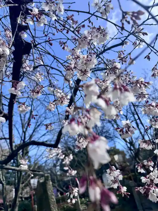 長建寺の{uncategorized: "未分類", other: "その他", undefined: "問題あり", building: "その他建物", grave: "お墓", sacred_gate: "鳥居", guardian: "狛犬", statue: "像", buddha: "仏像", history: "歴史", nature: "自然", garden: "庭園", animal: "動物", pagoda: "塔", temizu: "手水舎", mountain_gate: "山門・神門", sanctuary: "本殿・本堂", subordinate: "末社・摂社", art: "芸術", scenery: "景色", jizo: "地蔵", ema: "絵馬", goshuin: "御朱印", omikuji: "おみくじ", items: "授与品その他", amulet: "お守り", goshuincho: "御朱印帳", eats: "食事", festival: "お祭り", votive_dance: "神楽", shichigosan: "七五三参", wedding: "結婚式", experience: "体験その他", initially: "初詣", around: "周辺", anti_infection: "感染症対策"}