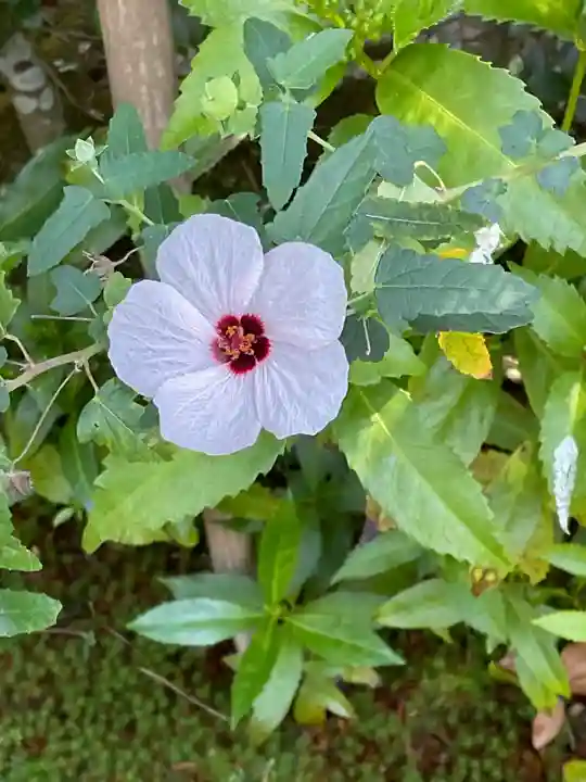 換骨堂(元真如堂)(京都府)