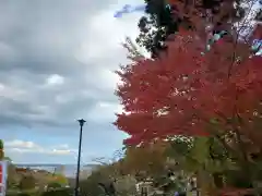 志波彦神社・鹽竈神社の景色