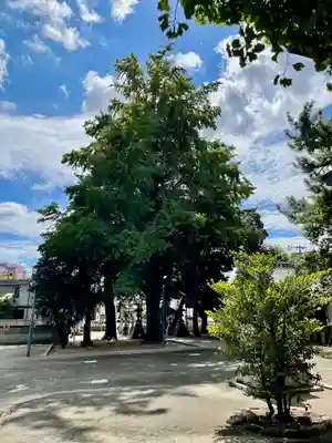 柴又八幡神社(東京都)