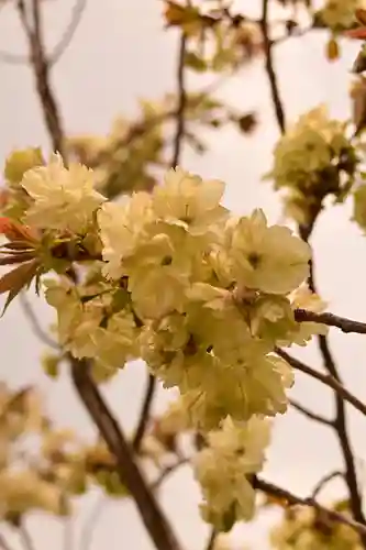 瀧湖寺(香川県)