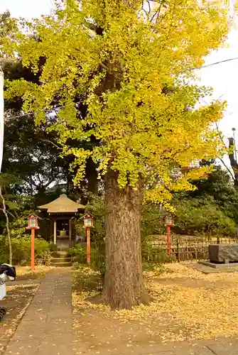 明王院（満願寺別院）の自然