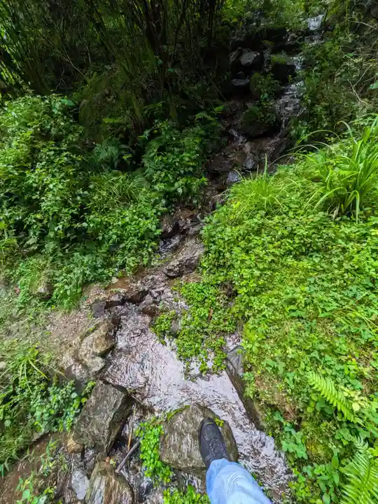 加蘇山神社 奥ノ宮の自然