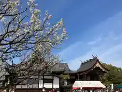 曽根天満宮の本殿