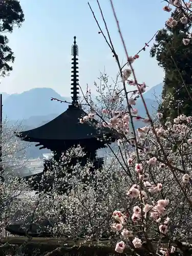国宝 大法寺(長野県)