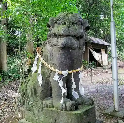 氷川神社の狛犬