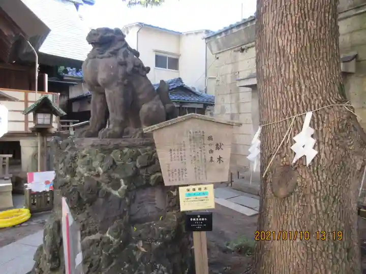 三島神社の狛犬