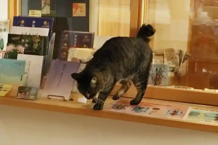 艫神社の{uncategorized: "未分類", other: "その他", undefined: "問題あり", building: "その他建物", grave: "お墓", sacred_gate: "鳥居", guardian: "狛犬", statue: "像", buddha: "仏像", history: "歴史", nature: "自然", garden: "庭園", animal: "動物", pagoda: "塔", temizu: "手水舎", mountain_gate: "山門・神門", sanctuary: "本殿・本堂", subordinate: "末社・摂社", art: "芸術", scenery: "景色", jizo: "地蔵", ema: "絵馬", goshuin: "御朱印", omikuji: "おみくじ", items: "授与品その他", amulet: "お守り", goshuincho: "御朱印帳", eats: "食事", festival: "お祭り", votive_dance: "神楽", shichigosan: "七五三参", wedding: "結婚式", experience: "体験その他", initially: "初詣", around: "周辺", anti_infection: "感染症対策"}