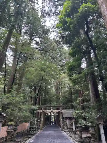 椿大神社(三重県)