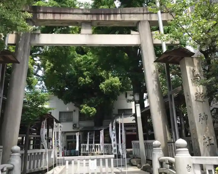 鳥越神社の鳥居