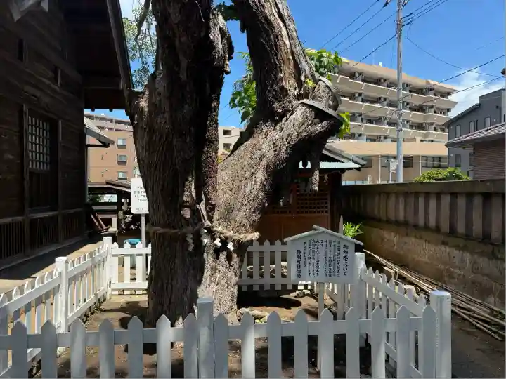 結城神明神社(千葉県)