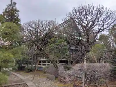 西澄寺(東京都)