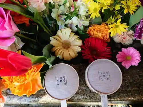 勝林寺の手水舎