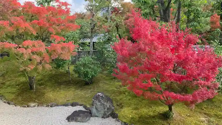 相国寺(相国承天禅寺)(京都府)