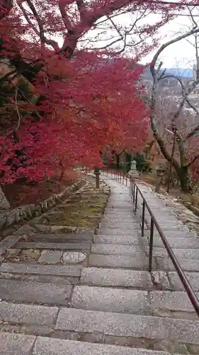 園城寺（三井寺）の自然