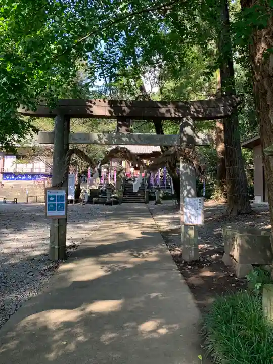 下野 星宮神社の鳥居